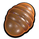 Red Soldier Ant Egg